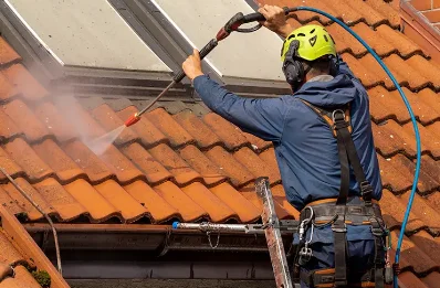 Démoussage et hydrofuge de toiture à Genêts